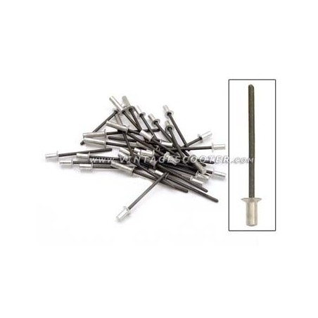 Kit de 35 rivets alu étanches tête chanfreinée pour baguettes de sol 